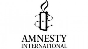 amnesty-international-kosova-dhe-serbia-t-euml-kryejn-euml-hetime-p-euml-r-t-euml-zhdukurit_hd