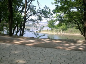 liqeni