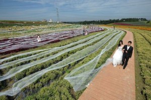 4100-meter-long-wedding-dress