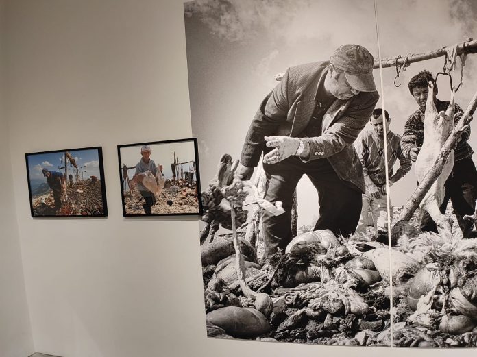 Ekspozita  Le të fillojë gjuetia   në Galerinë FAB