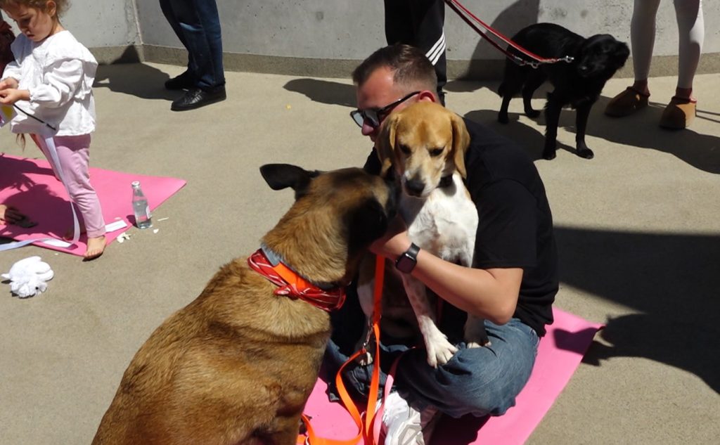  Kreativiteti dhe Katërputroshët   një event unik në Vet Hospital Tirana