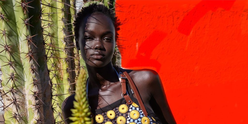 Forma elementare dhe printet grafike marrin jetë në peizazhin e Ishujve Kanarie