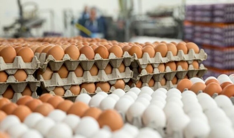 Shtrenjtohen vezët dhe perimet  qytetarët ankohen  tregtarët  S ka konsumatorë