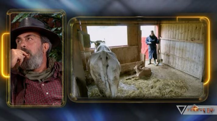 Përkushtim për kafshët dhe punët e fermës  Agai u jep super avantazh 6 fermerëve