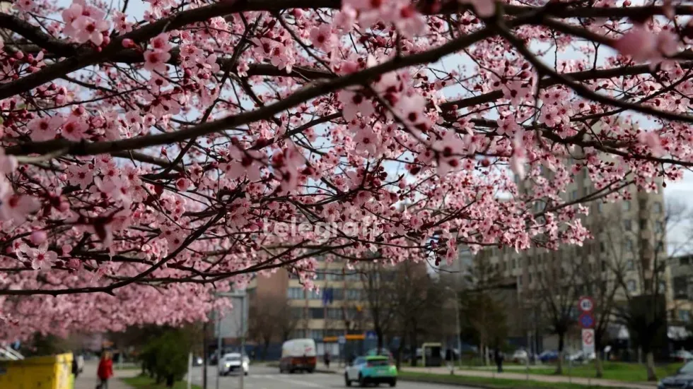 Mot i qëndrueshëm dhe me diell  kushte të favorshme për bujqësinë