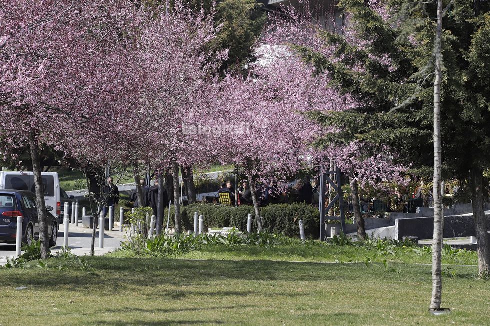 Mot me diell dhe vranësira të shpërndara