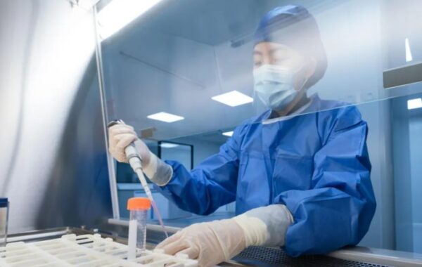Ebolës në