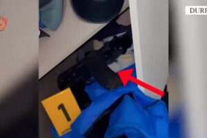 shkollave në Shijak dhe