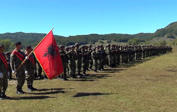 në Forcat e Armatosura