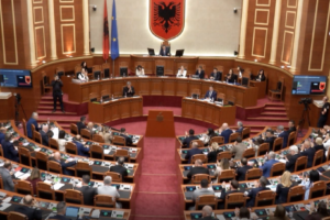 10 interpelanca dhe ndryshime në rregullore,