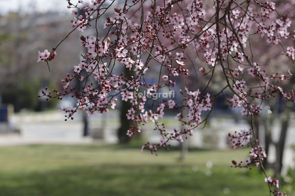 Mot me diell  temperaturat deri në 29 gradë