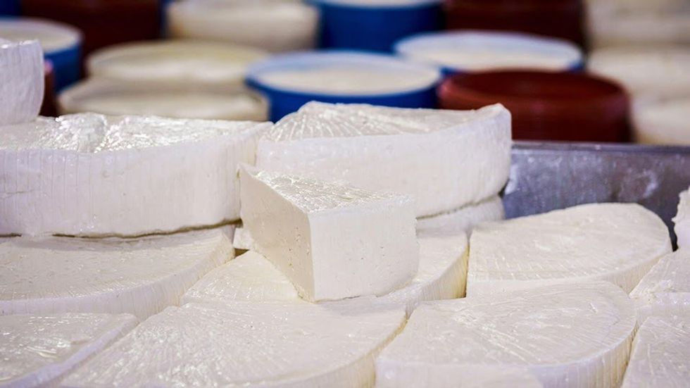 Mashtrim me përmbajtjen e produkteve të qumështit  AUV gjobit disa prodhues dhe importues