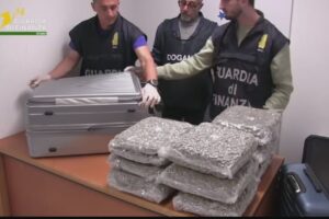 ndërkombëtar të drogës