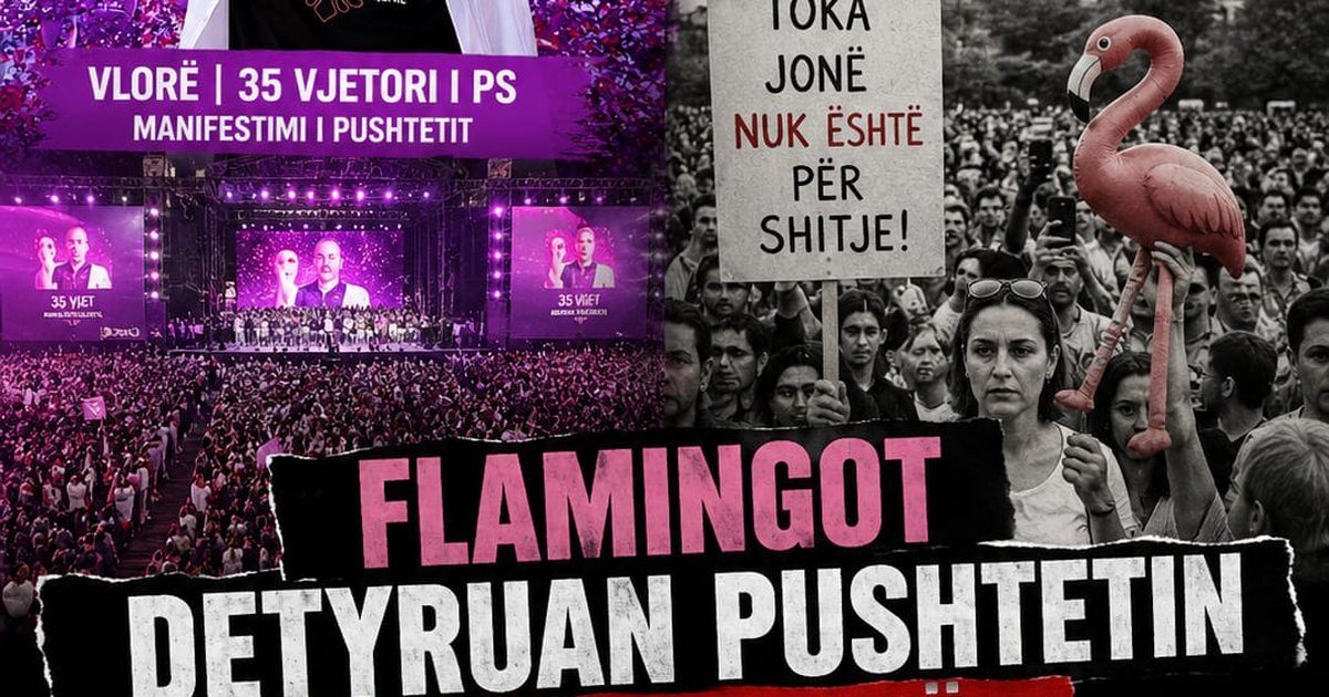 Anti mitingu i partisë si përgjigje ndaj revolucionit të flamingos