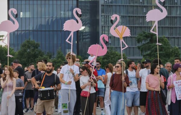 Ra ky flamingo dhe u