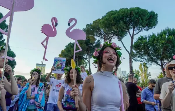 Revolucioni i Flamingove