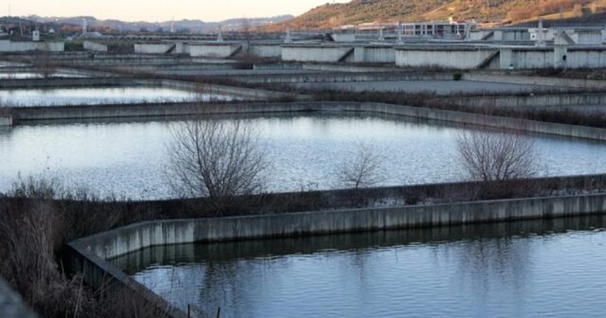 Nga Laguna te Lana  Çfarë Na Tregon Revolucioni i Flamingove për Modelin Rama të Turizmit