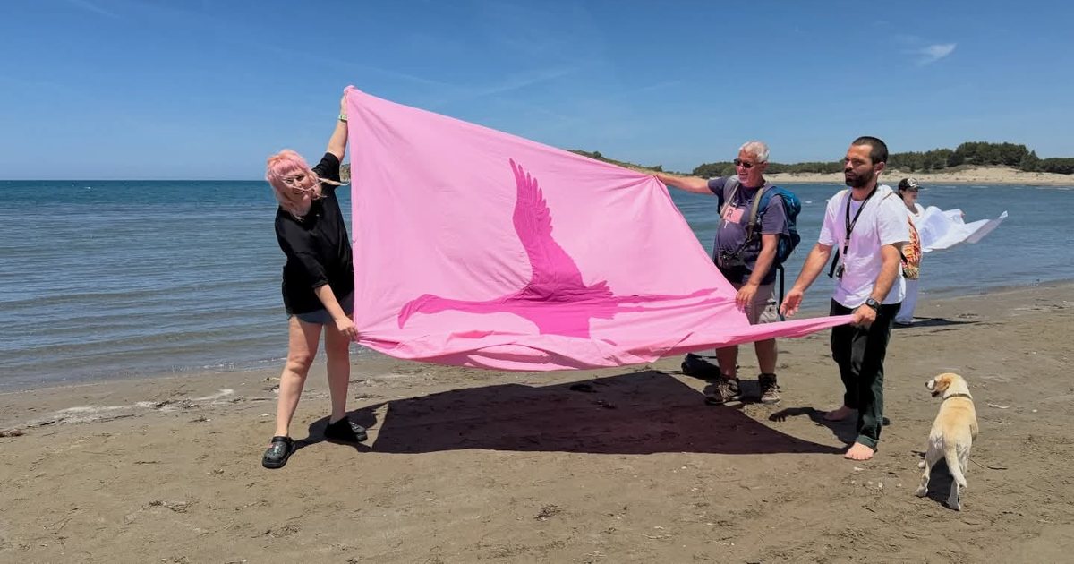 Brezi Z merr fjalën me anë të Revolucionit të Flamingove Rozë