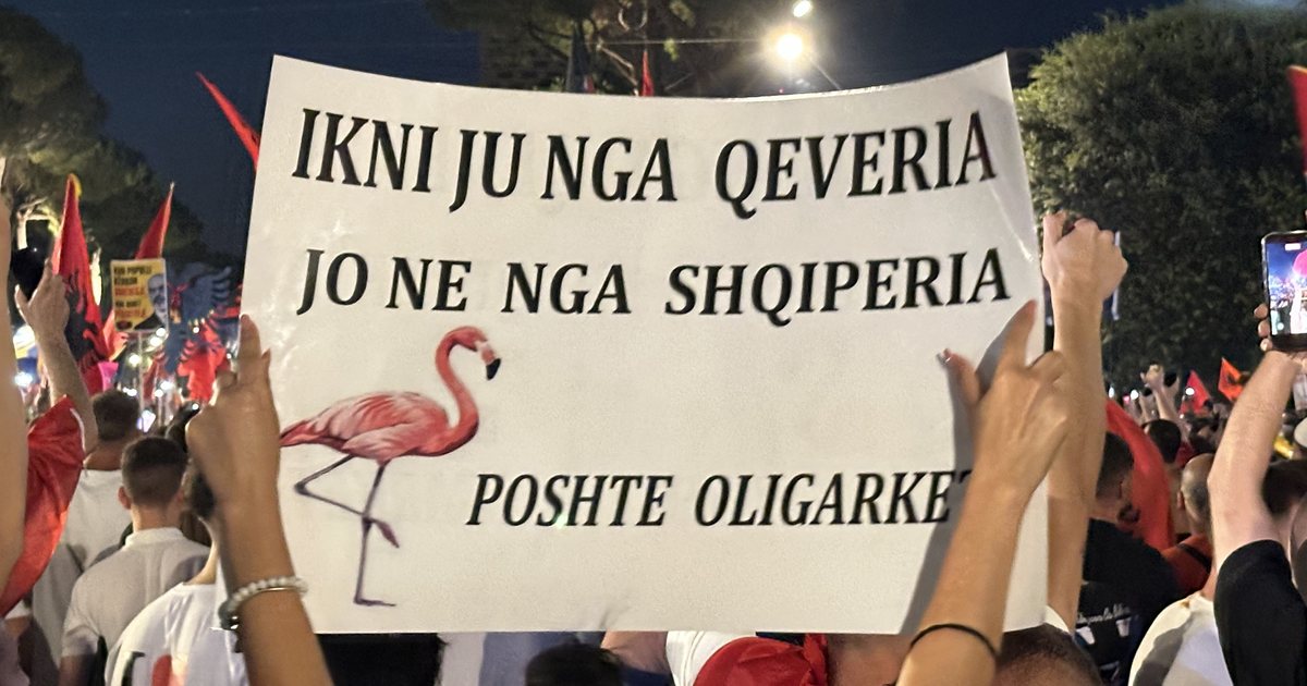 Fitimet për një grusht klientësh  kostot për gjithë shqiptarët