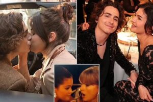 Selena Gomez dhe Timothée Chalamet