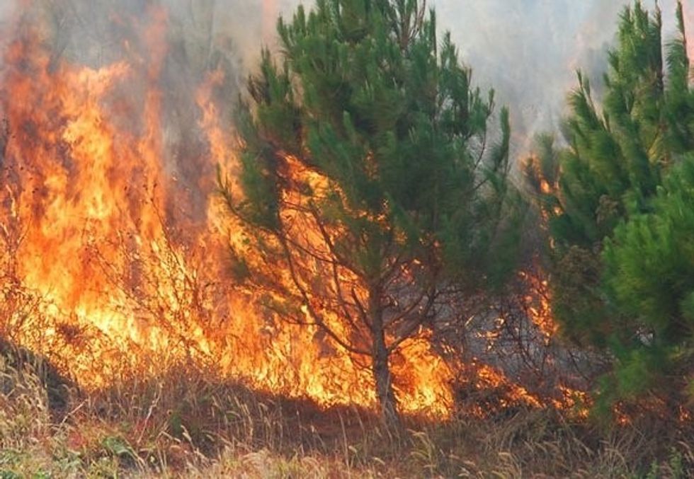 Sot janë shkaktuar 13 zjarre në Maqedoni  një prej tyre është ende aktiv