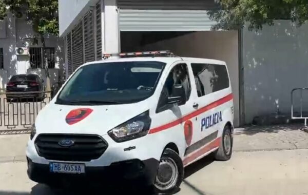 efektivin e policisë private