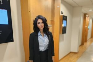 Sqarim për Kryeministrin, që duket se