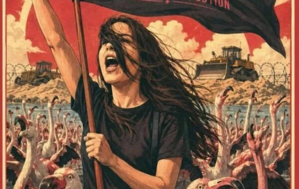 “Flamingo” nuk mund të jetë jakobine, nuk duhet të jetë kaos por arsyetim!
