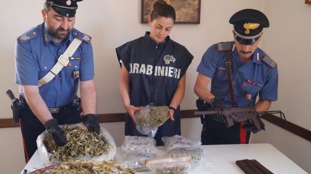 Ngriti “shtëpi bari” në mes të