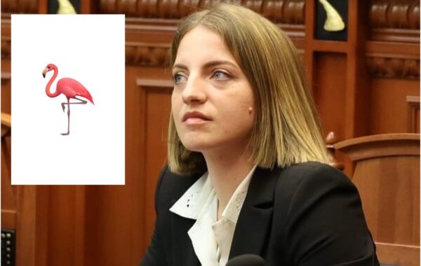 pa asnjë kontribut politik të
