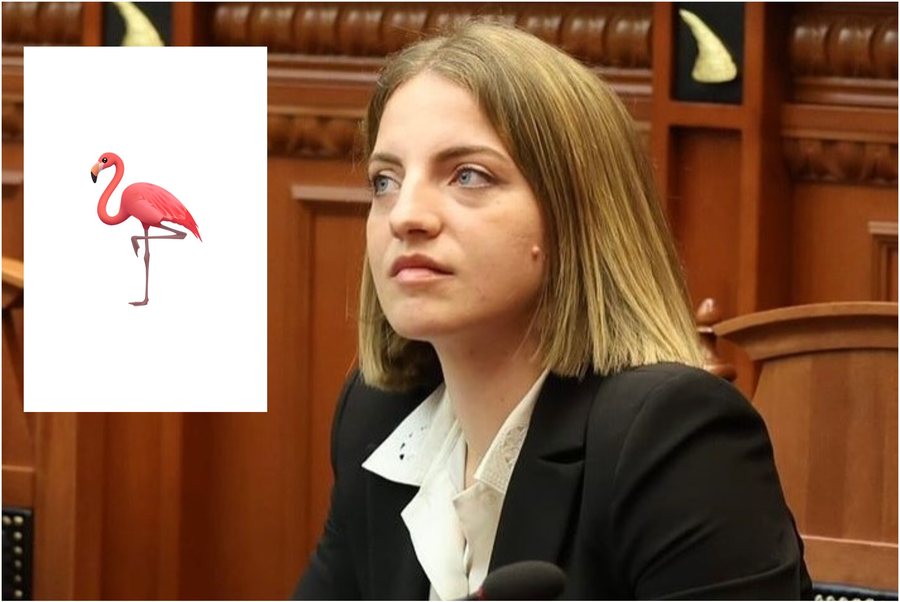 pa asnjë kontribut politik të