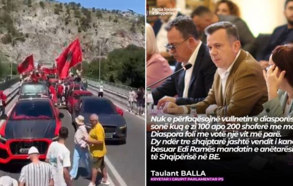 Diaspora foli me votë një