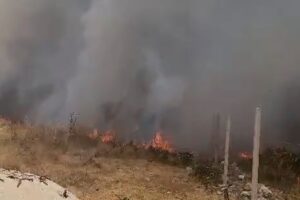 Zjarri në kodrat e Vlorës, flakët