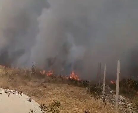 Zjarri në kodrat e Vlorës, flakët