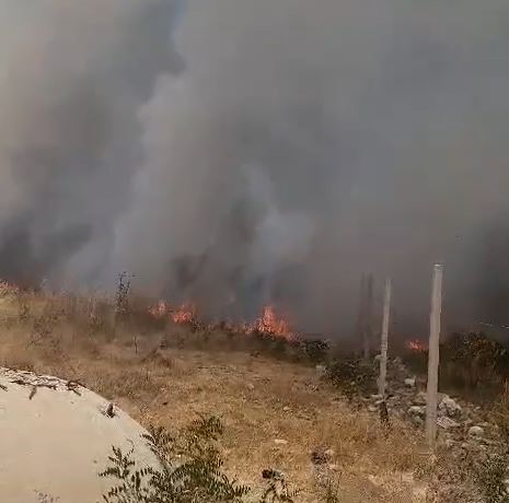 Zjarri në kodrat e Vlorës, flakët