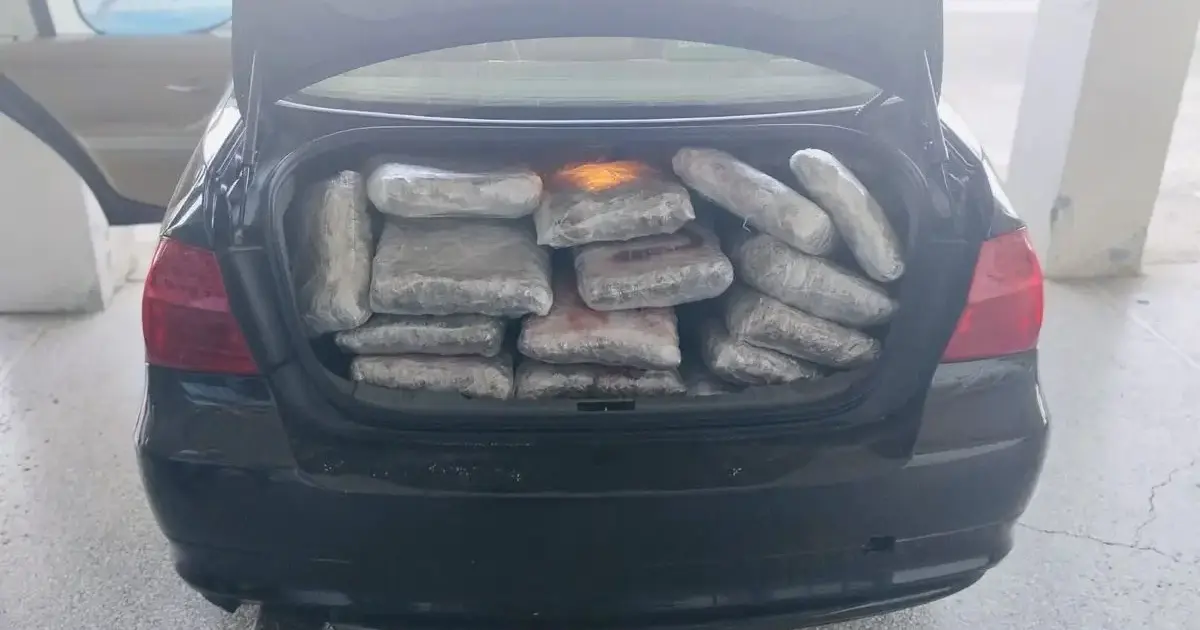 110 kg marijuanë