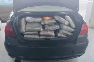 110 kg marijuanë