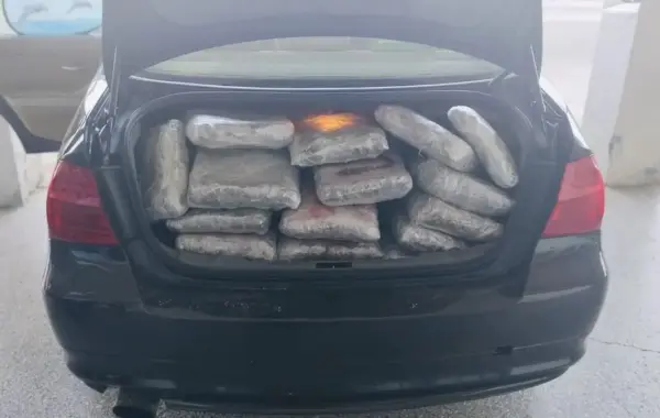 110 kg marijuanë