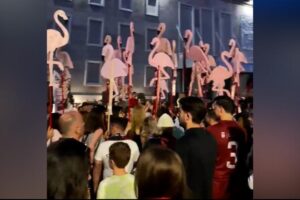 Revolucioni i flamingove