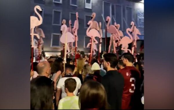 Revolucioni i flamingove