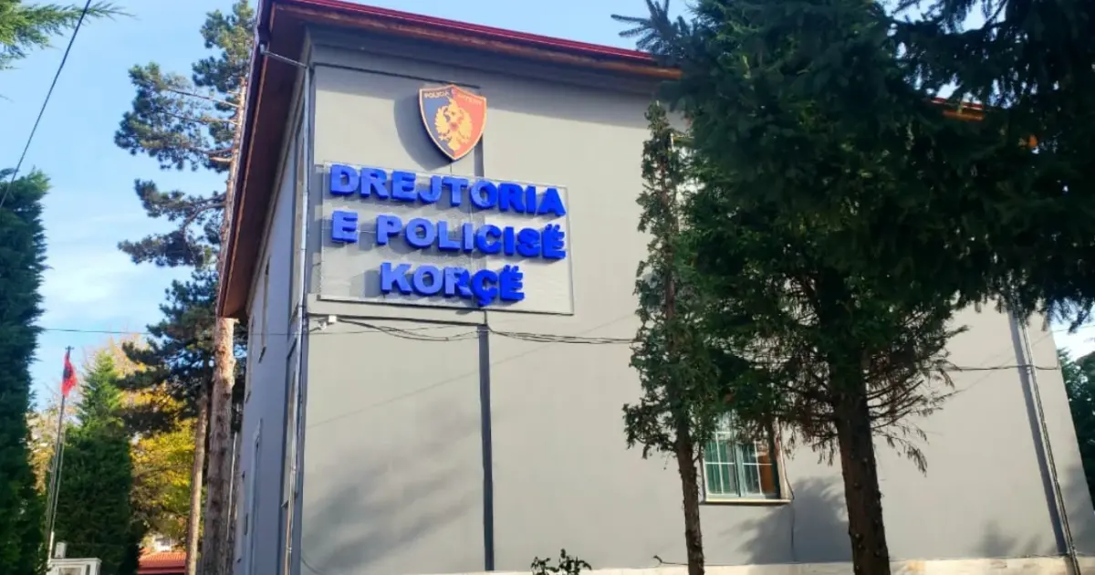 drejtori i Policisë