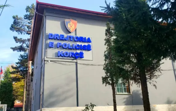 drejtori i Policisë