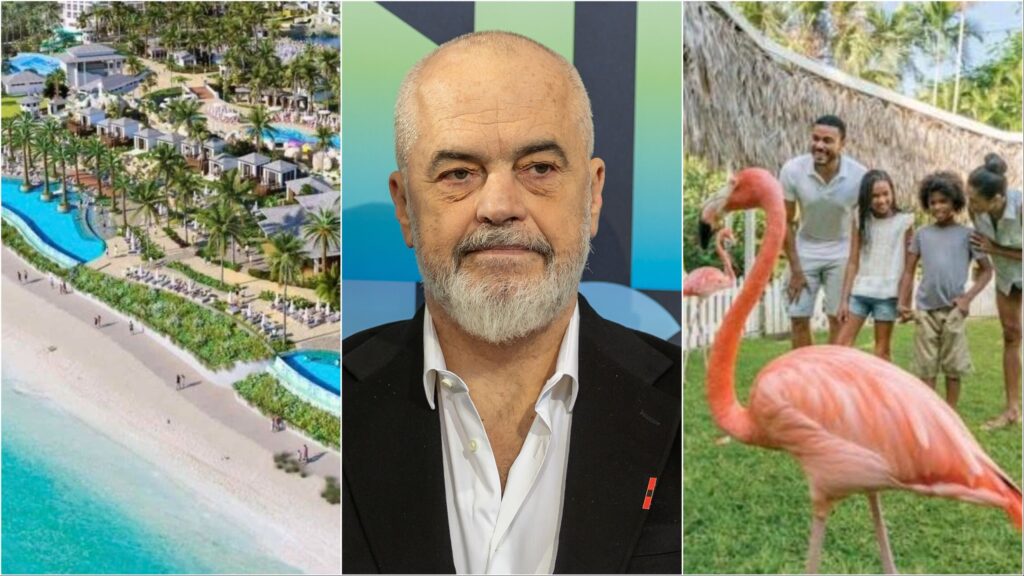 Rama sjell shembullin e Bahamasit për zhvillimin e turizmit  Flamingot nuk janë problem  por privilegj