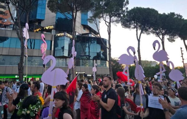 “Revolucioni i Flamingove” shkon përtej Kushnerit dhe zogjve