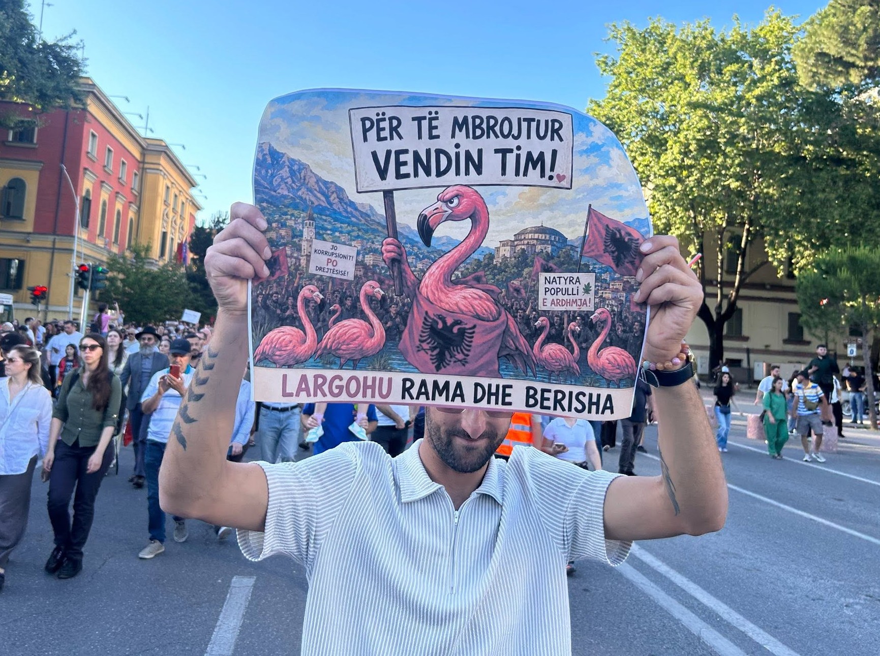 Gjuha e Shqipërisë së re dhe një përgjigje për Mero Bazen
