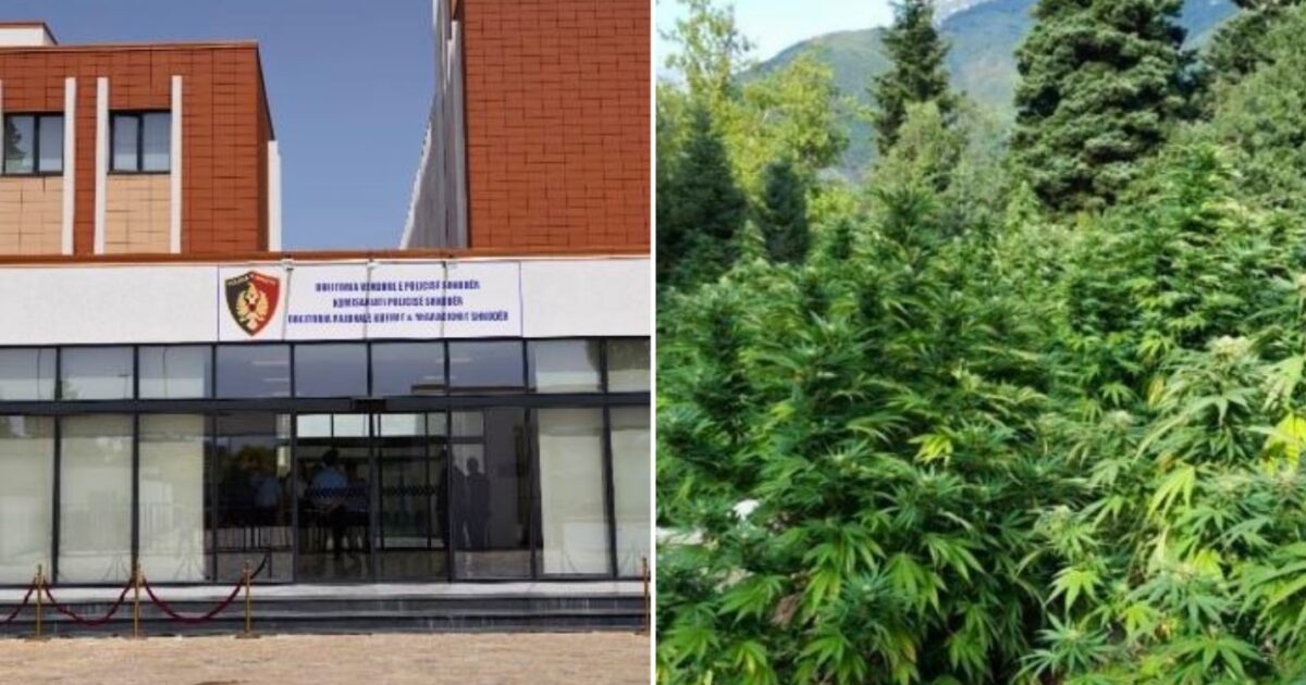 nga detyra shefi
