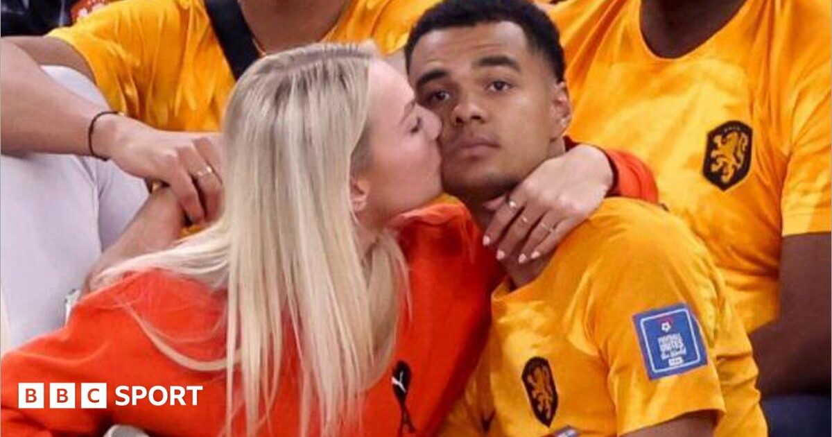 Partnerja e