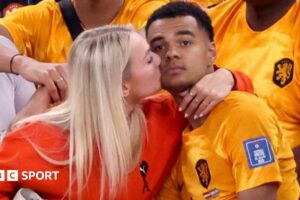 Partnerja e