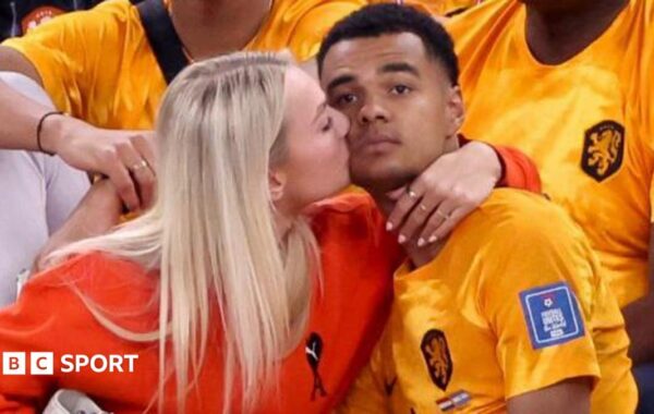 Partnerja e