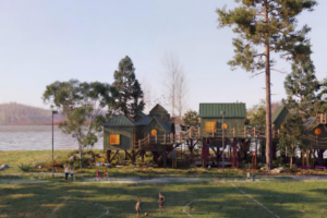 tree houses